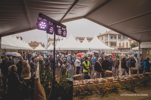 Fiera Internazionale del Tartufo Bianco "Trifola d'Or"
