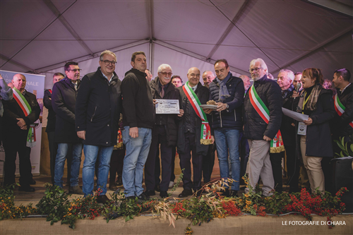 Fiera Internazionale del Tartufo Bianco "Trifola d'Or"
